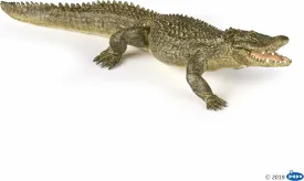 ALLIGATOR