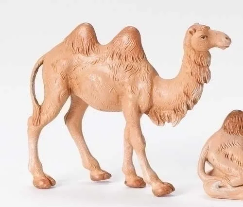 CAMEL STANDING 5", Fontanini, 72683