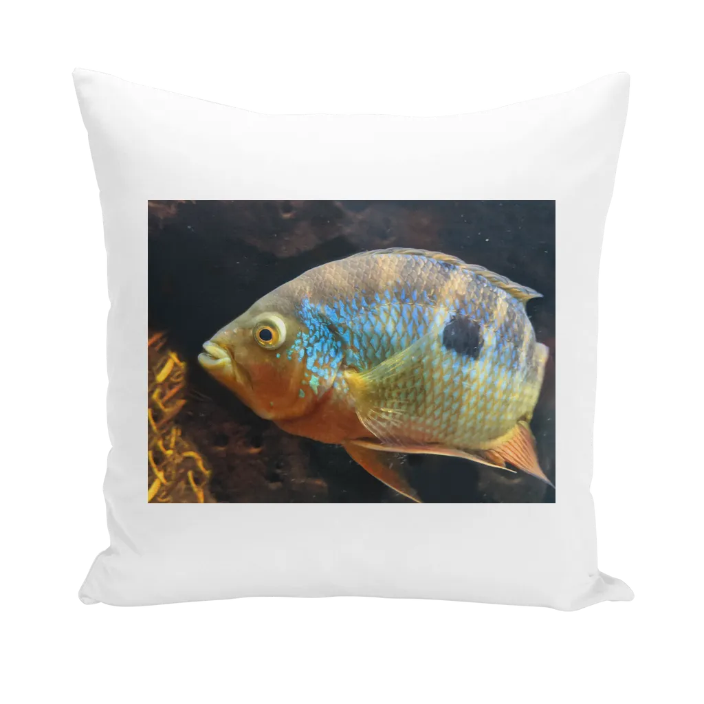 Colorful Fish Throw Pillows