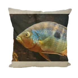 Colorful Fish Throw Pillows