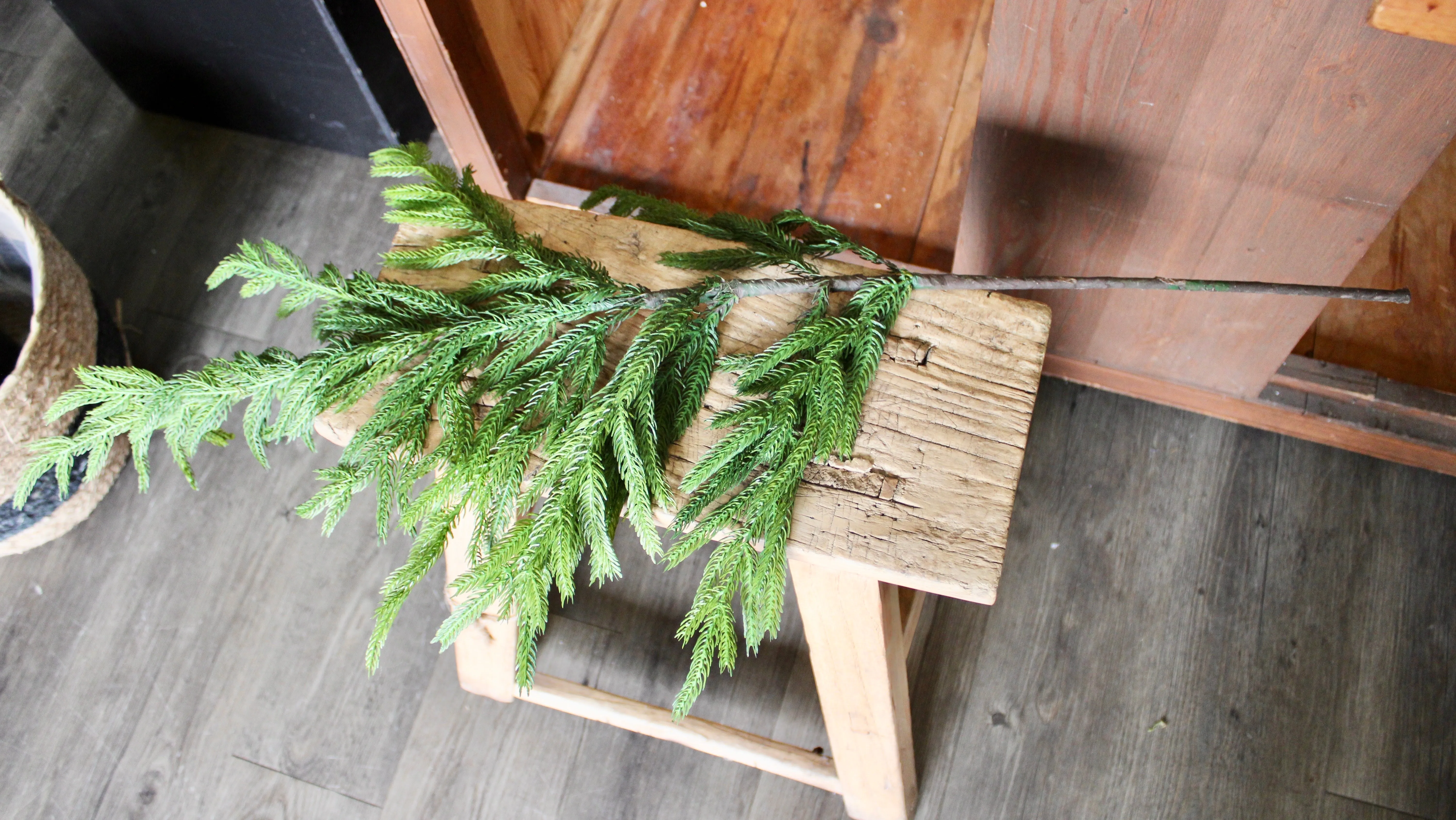 Fresh Touch Norfolk Pine Spray