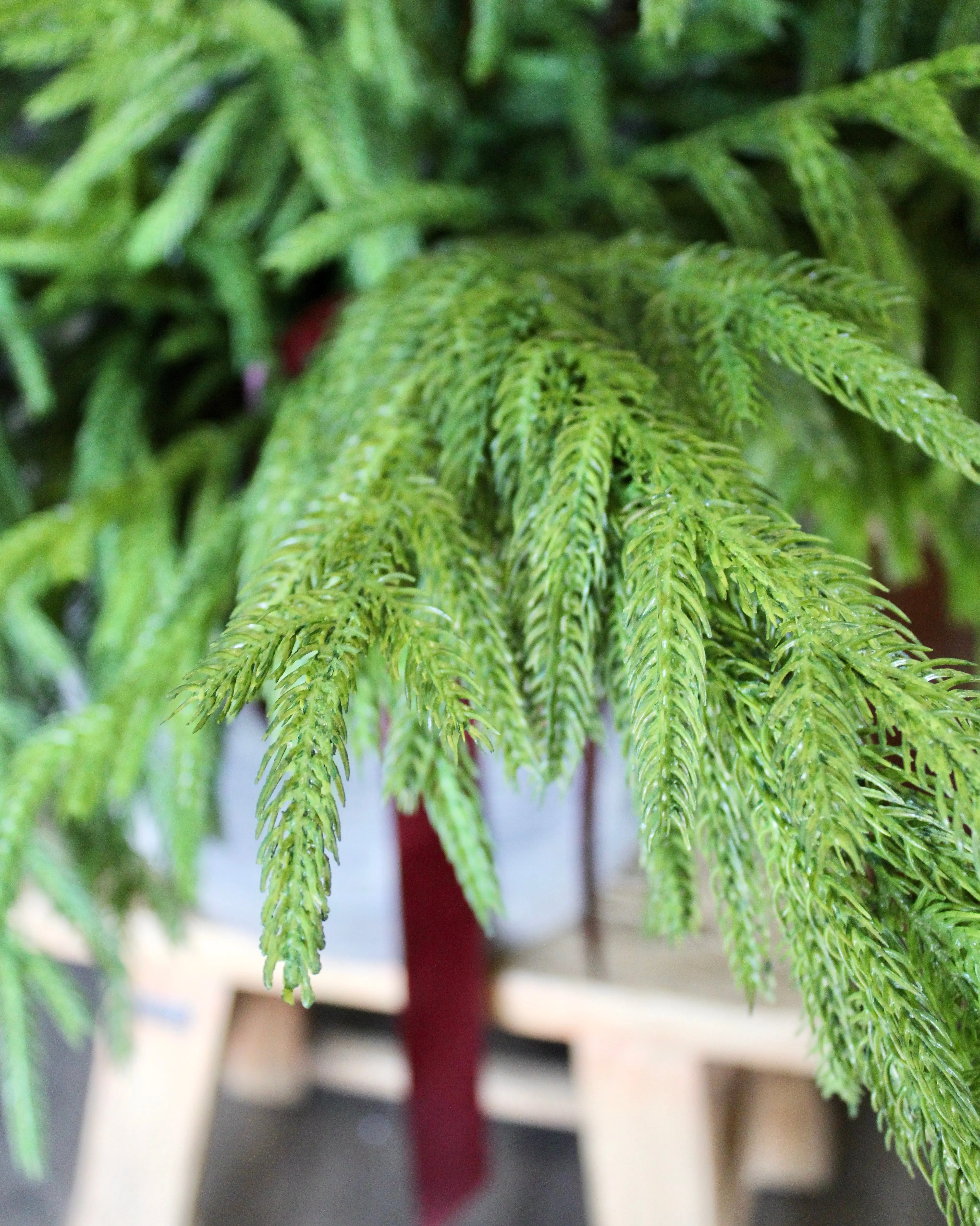 Fresh Touch Norfolk Pine Spray