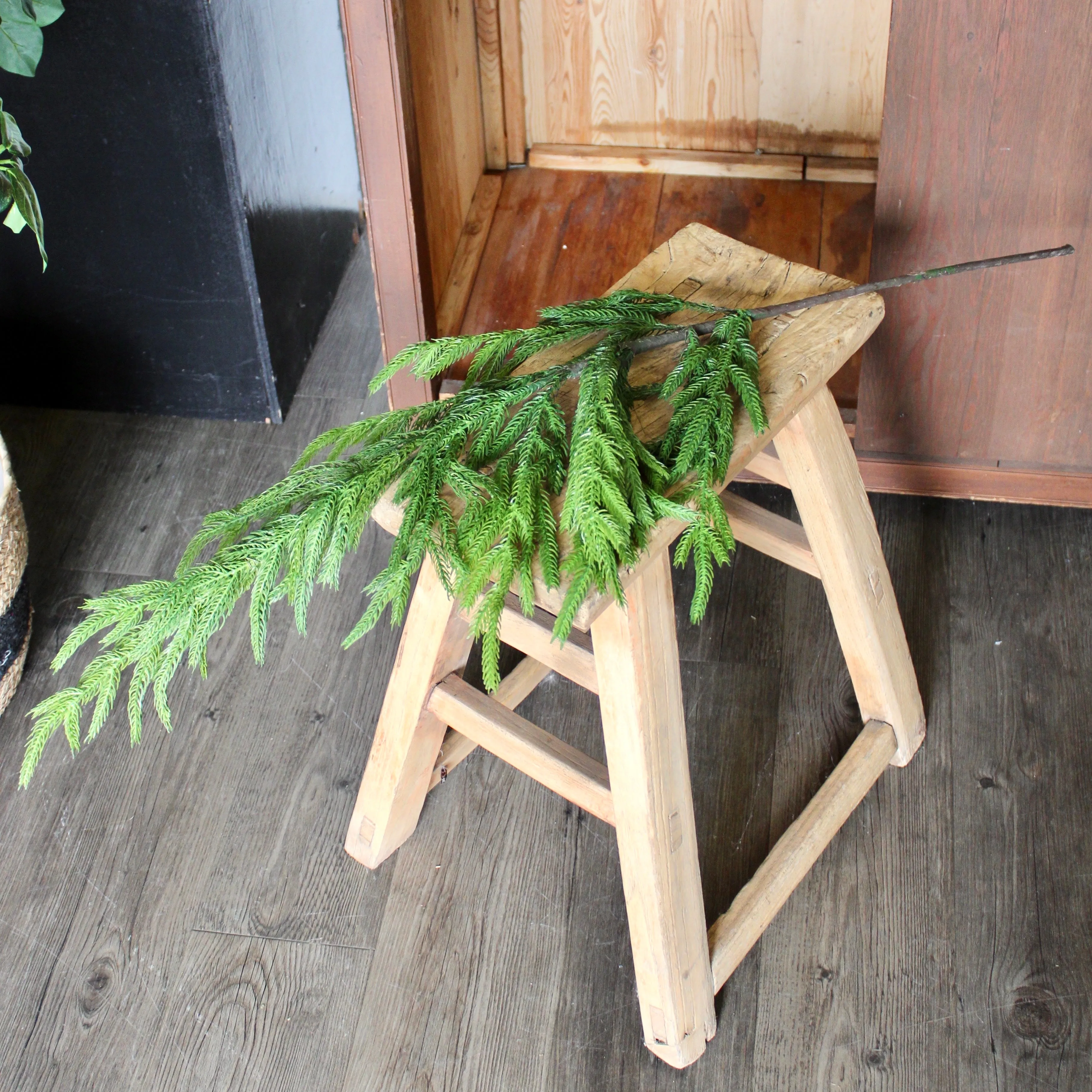 Fresh Touch Norfolk Pine Spray