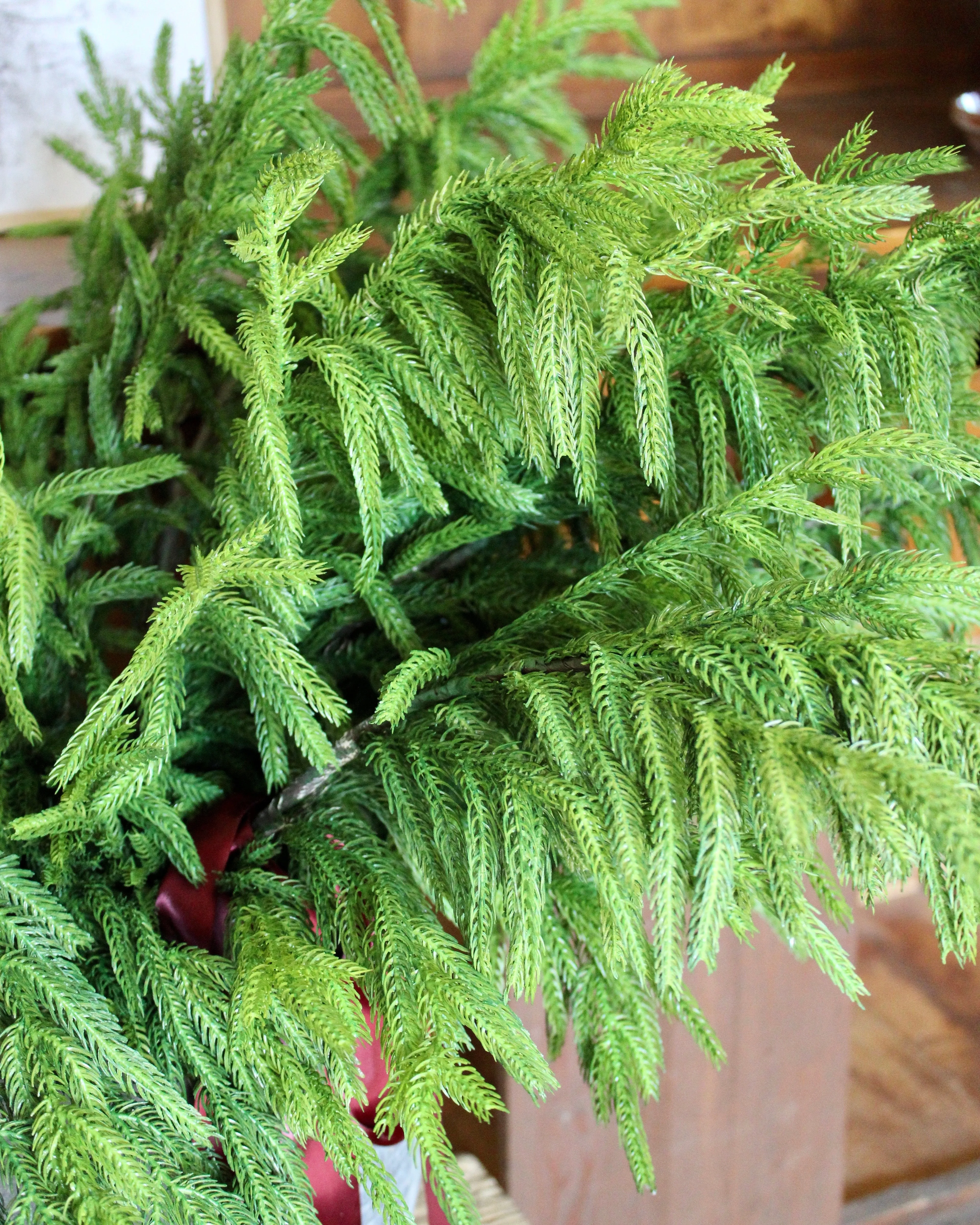 Fresh Touch Norfolk Pine Spray