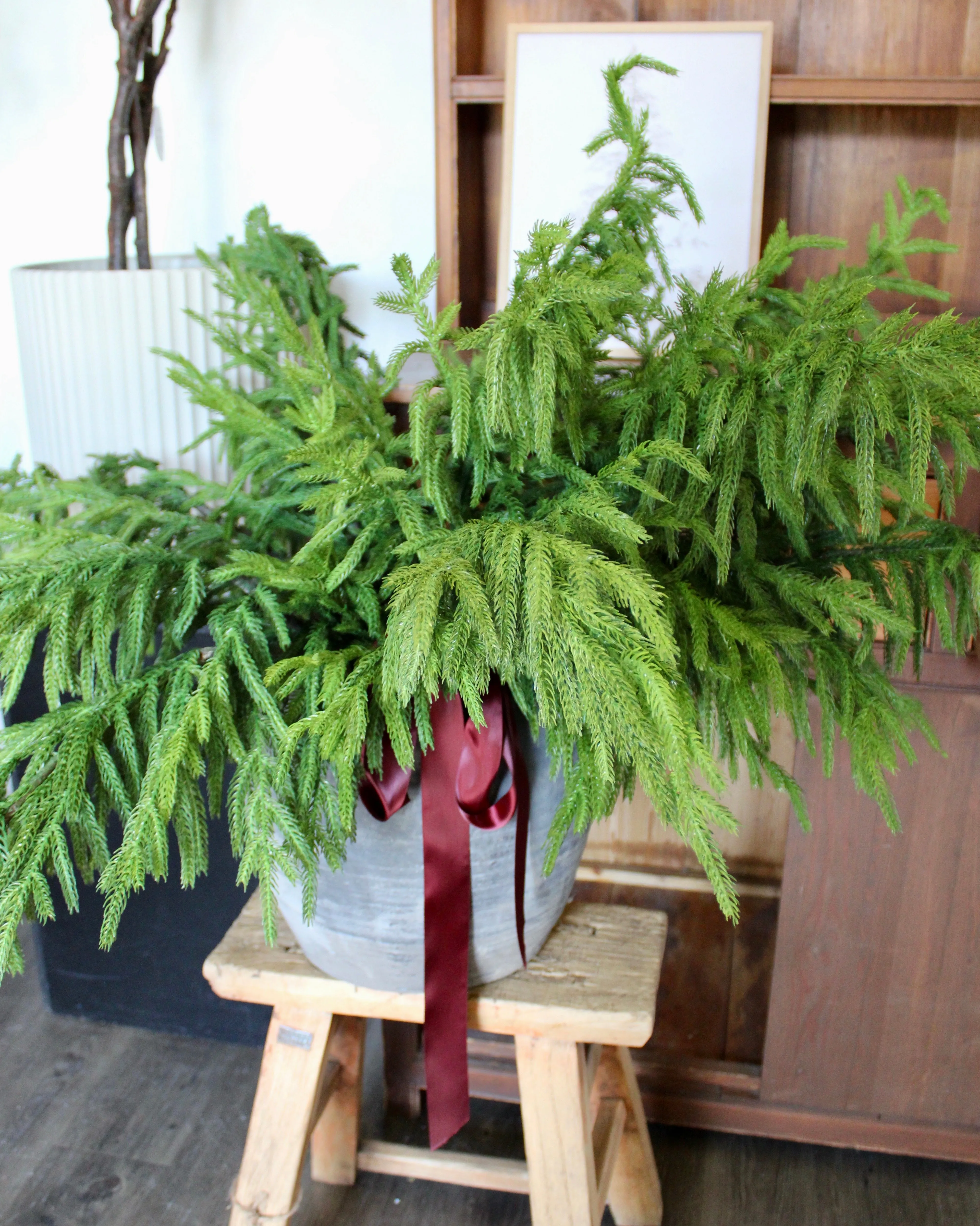 Fresh Touch Norfolk Pine Spray