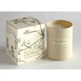 Illumens Abbaye Fig Valloires Candle in Glass