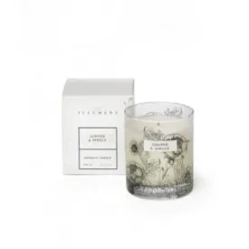 Illumens Juniper & Spruce Candle in Glass