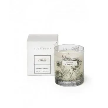 Illumens Juniper & Spruce Candle in Glass