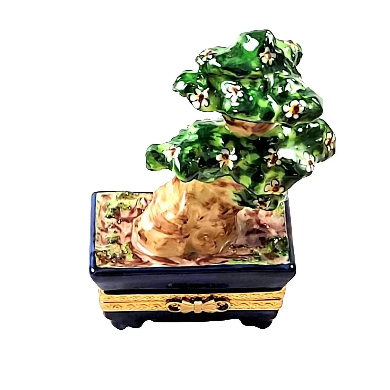 Japanese Bonsai Tree