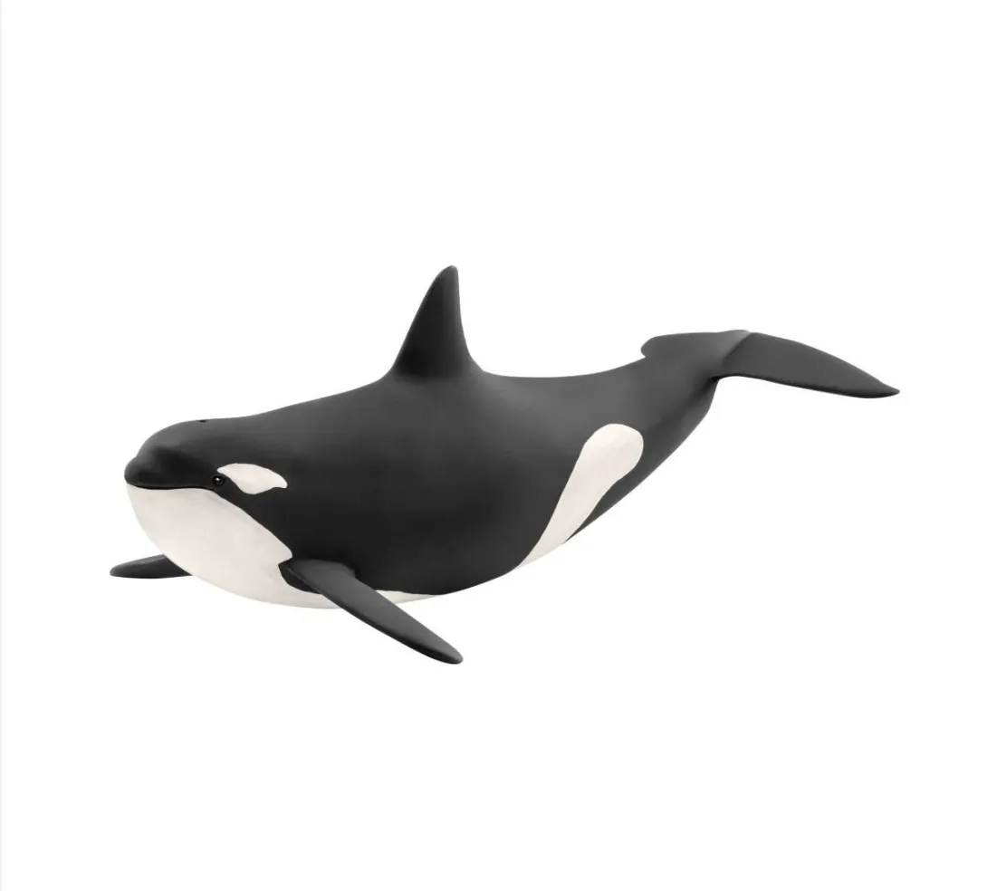 Killer Whale