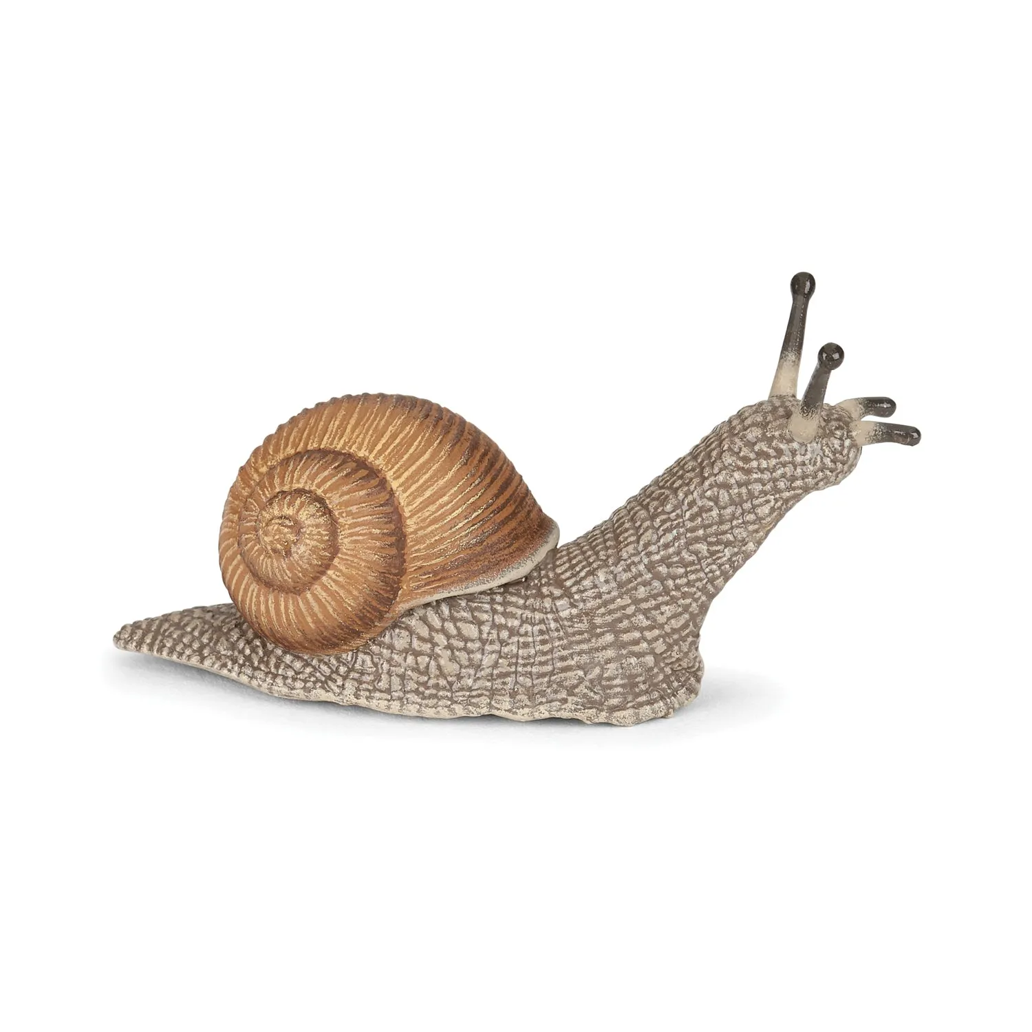 Papo Snail